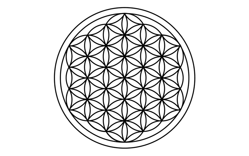 Studio Marea Logo